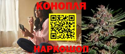 spice Камышлов