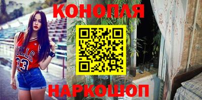 spice Камышлов