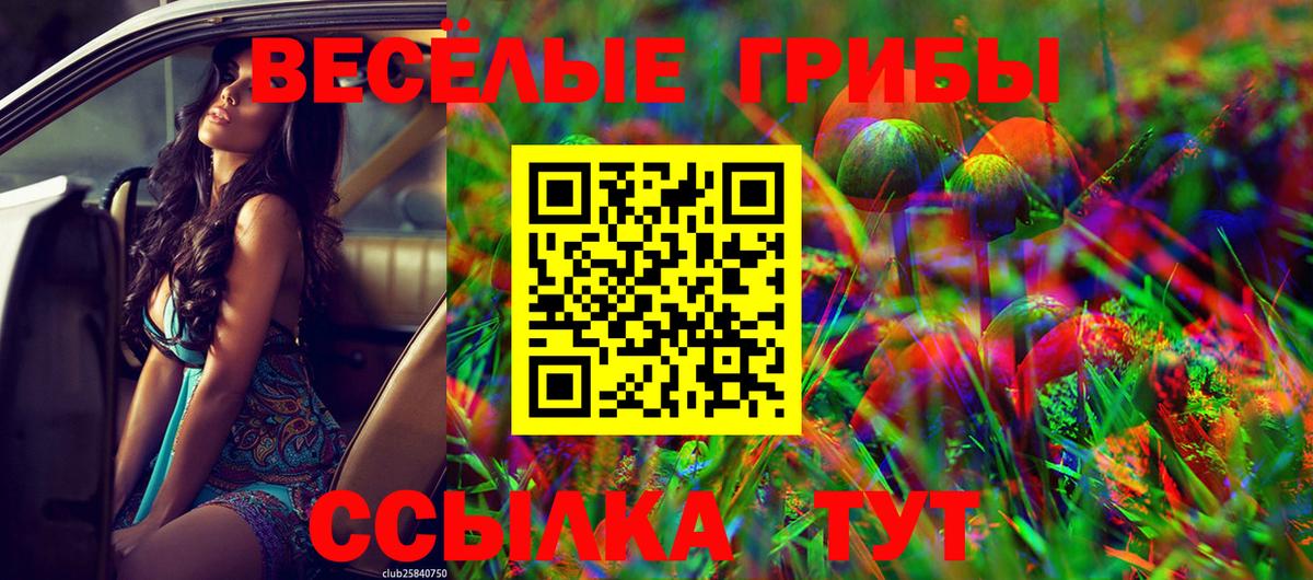 Губкинский  Галлюциногенные грибы Magic Shrooms  где найти   Вход с VPN  Галлюциногенные грибы мицелий 